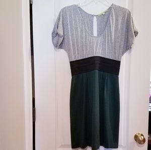 Gianni Bini Dress